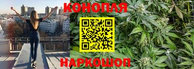 шишки Лесосибирск