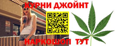 шишки Лесосибирск