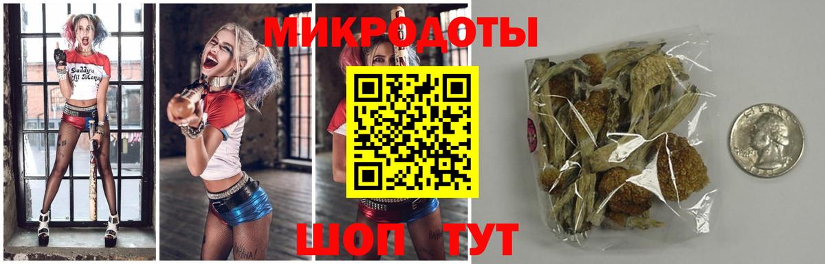 Псилоцибиновые грибы Magic Shrooms Губкин