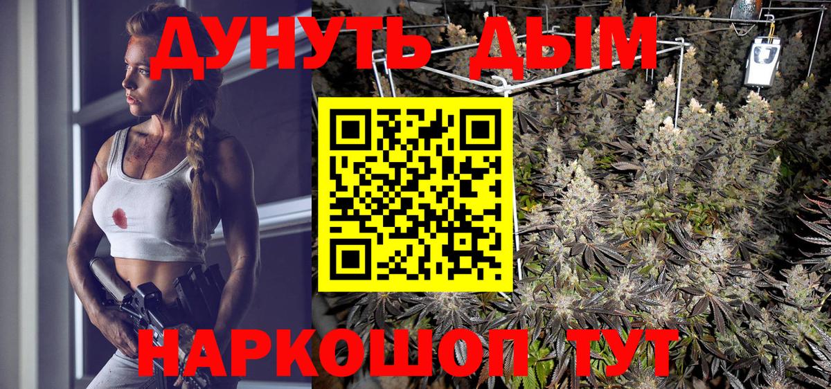 МАРИХУАНА сатива Губкин